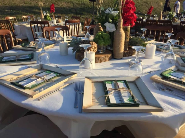 Setup Catering Davet ve Organizasyon