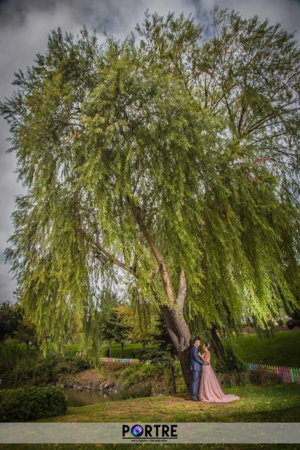 Portre Fotoğrafçılık