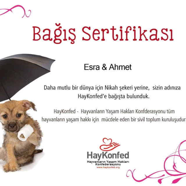 HayKonfed