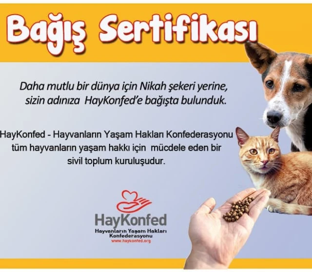 HayKonfed