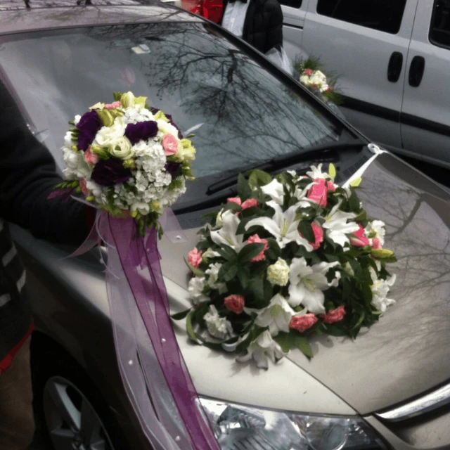 Pertaş Ulaşım