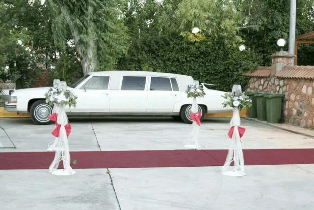 İzmir VIP Limuzin Klasik