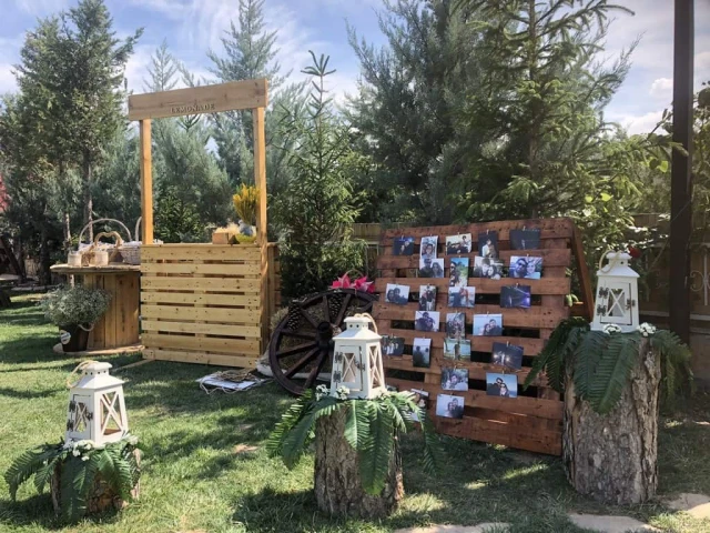 Dream Garden