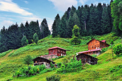 Karadeniz Balayı Bungalov Evleri