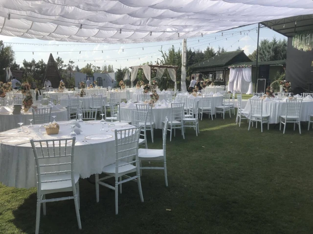 NEVA EVA Wedding