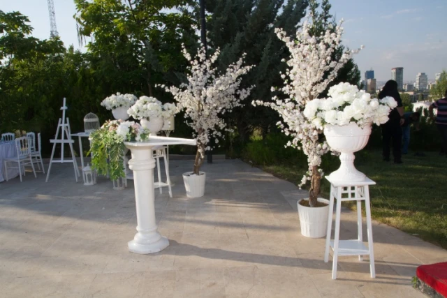 Vişnelik Art Wedding