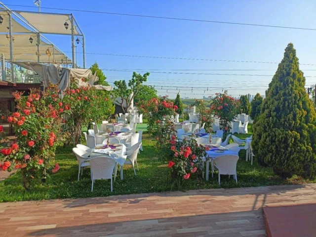 Kuzey Garden
