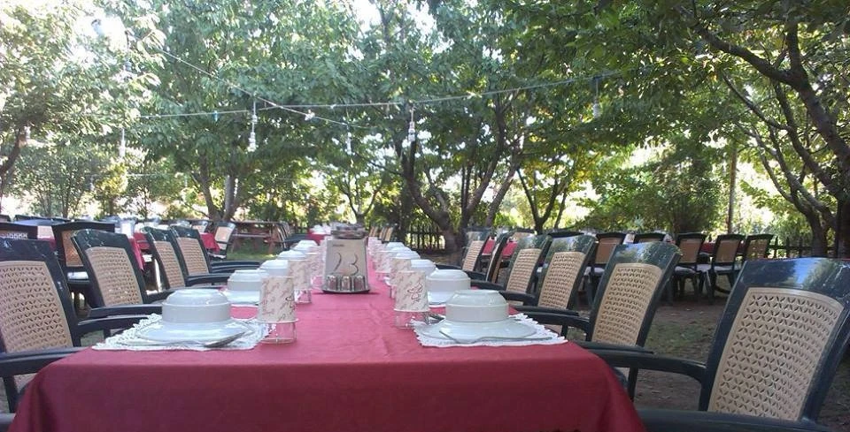 celtik-et-mangal-0MUeZZY