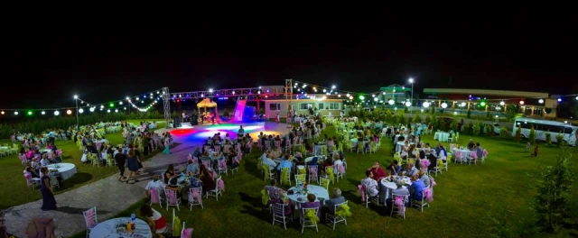 Dikili Park Arena