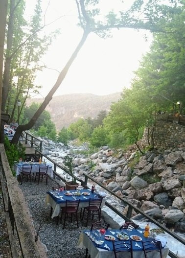 Şelale Çam Restaurant