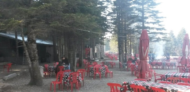 Palabıyık Restaurant