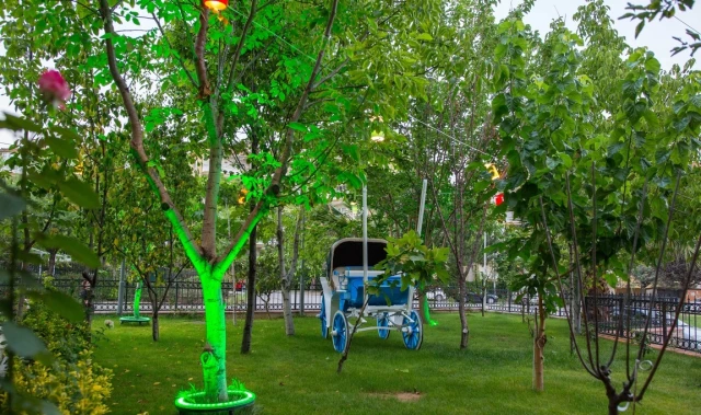 Buzzpark