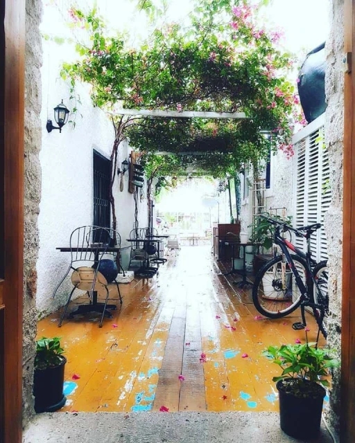 Afet Hanım Konağı