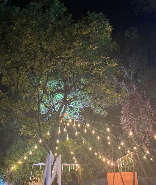 Moonlight Garden Wedding