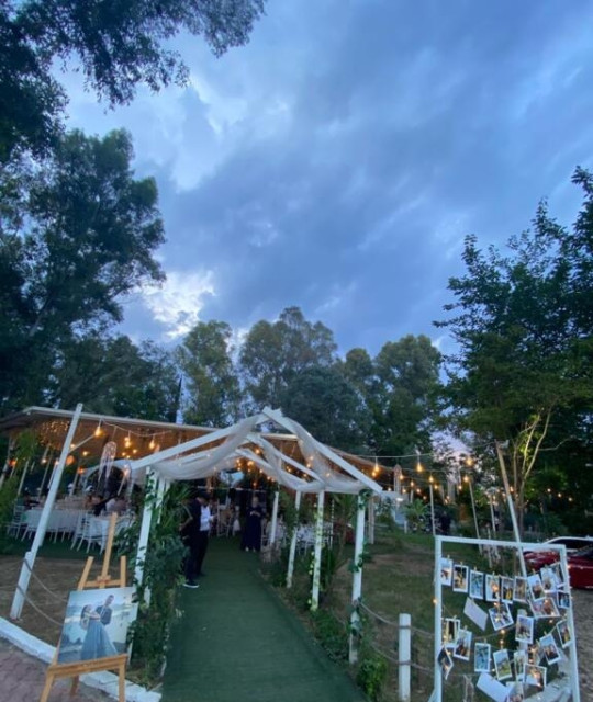 Moonlight Garden Wedding