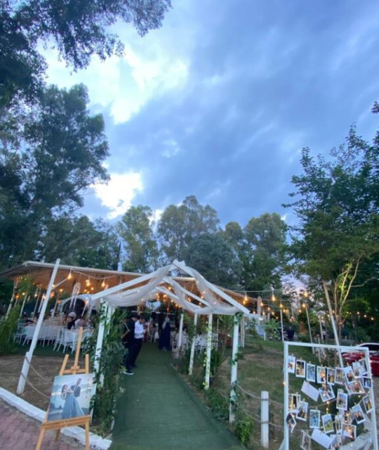 Moonlight Garden Wedding