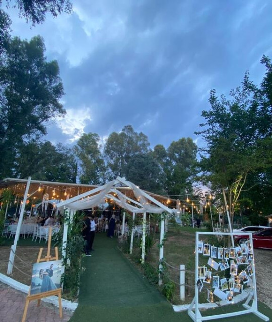 Moonlight Garden Wedding