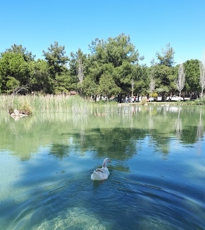 Gölbaşı Restaurant