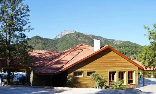 Düşler Alemi