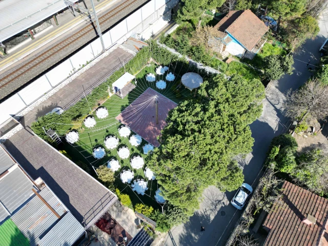 Temenye Quince Garden