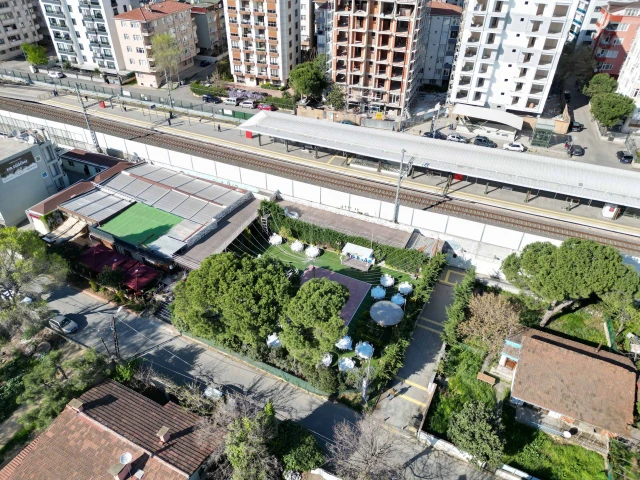 Temenye Quince Garden