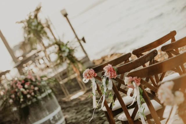 Allesta Plus Wedding