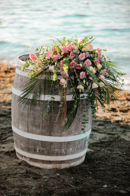 Allesta Plus Wedding