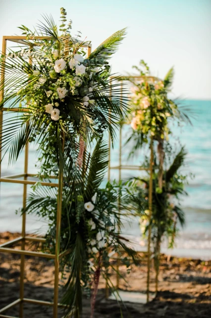 Allesta Plus Wedding
