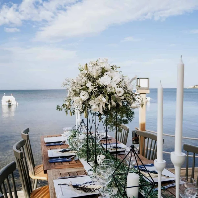 Allesta Plus Wedding