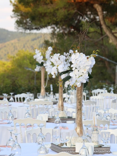 Çamlık Garden