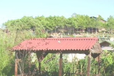 Bungalow Koyu