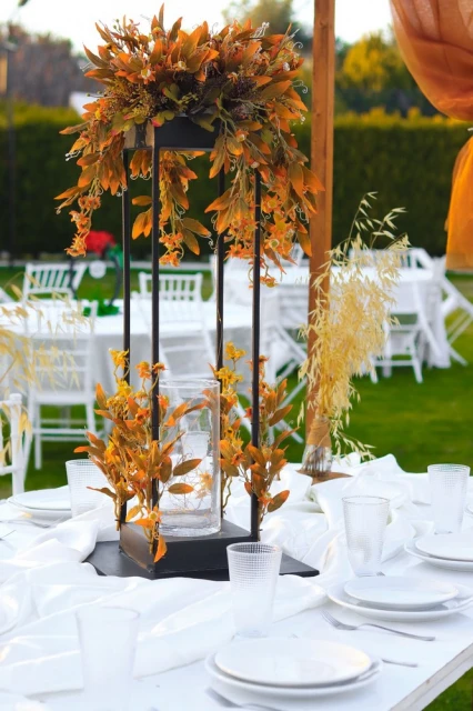 Bella Life Garden