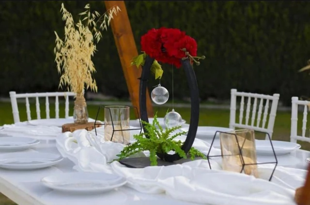 Bella Life Garden