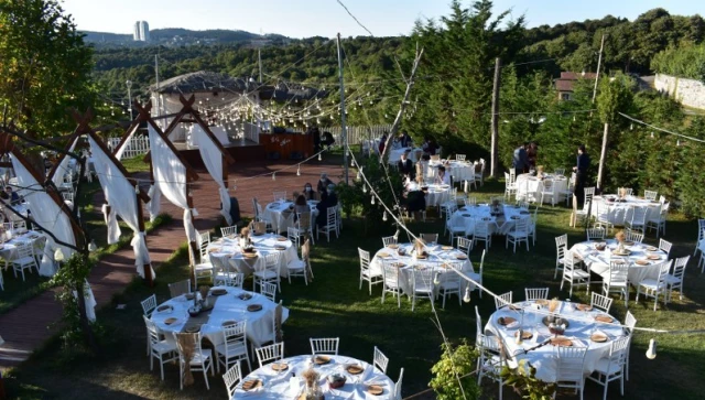 Bella Life Garden