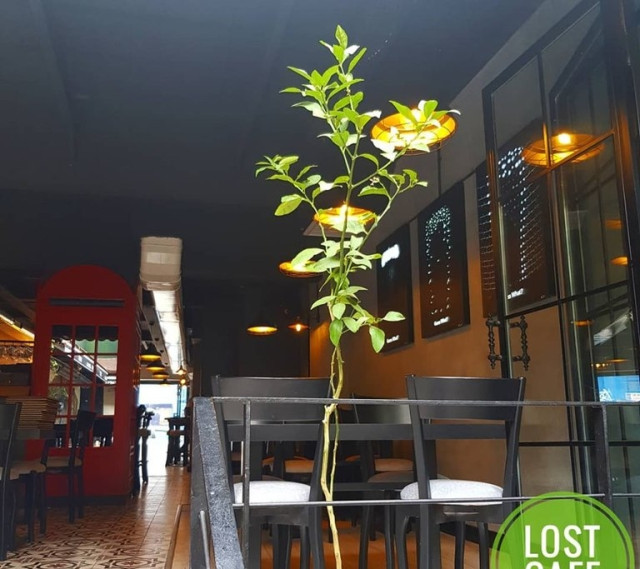 Lost Restaurant & Bar