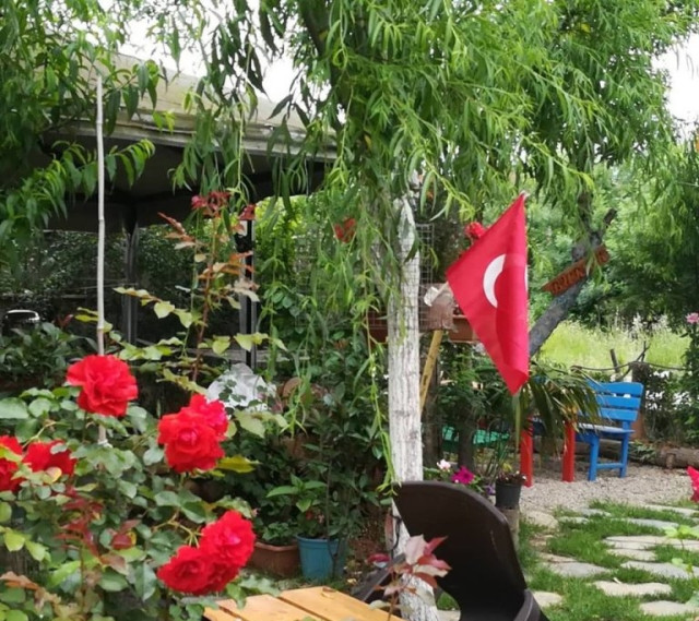 Âlâ Konuk Evi & Oksijen Cafe