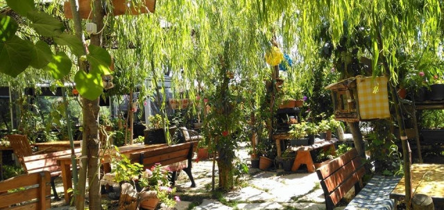 Âlâ Konuk Evi & Oksijen Cafe