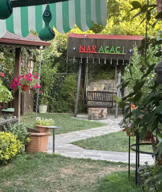 Kurna Nar Ağacı