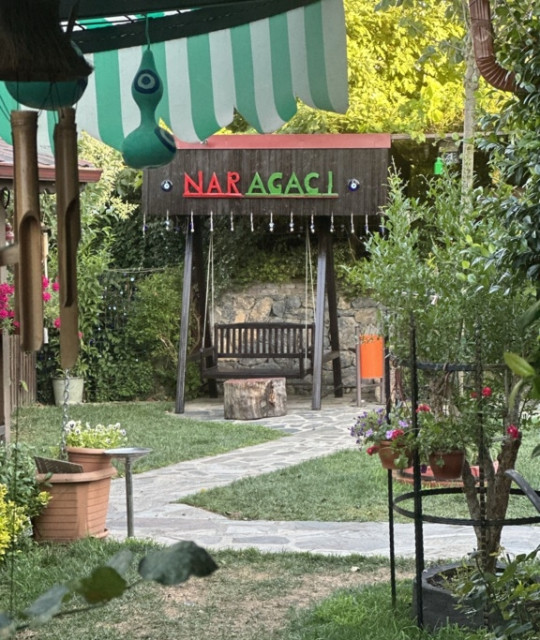 Kurna Nar Ağacı