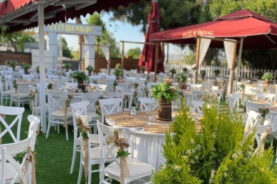 Elit Wedding
