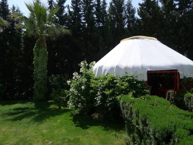 Alaş Kımız Çiftliği Kazak Vadisi
