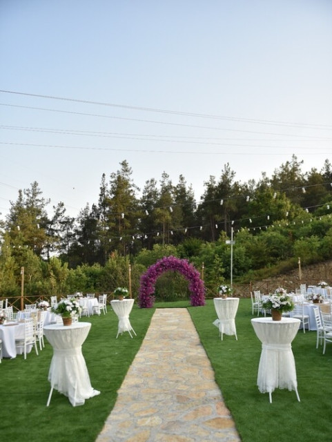 Orman Kır