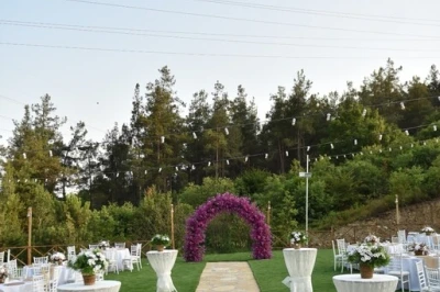 Orman Kır