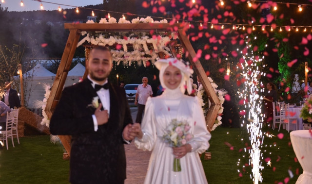 Orman Kır