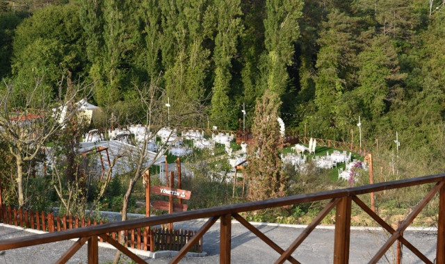 Orman Kır