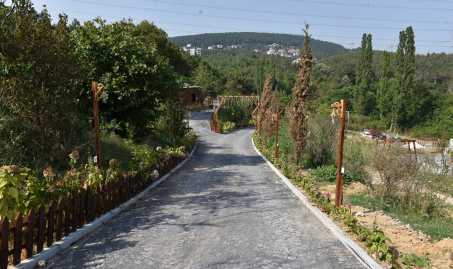 Orman Kır