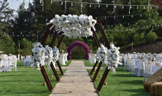Orman Kır