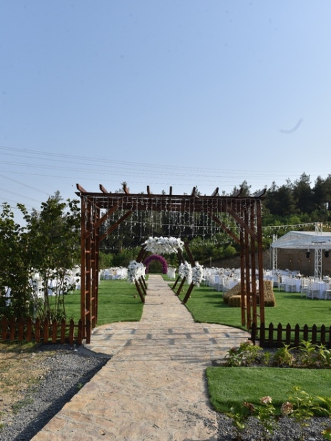 Orman Kır