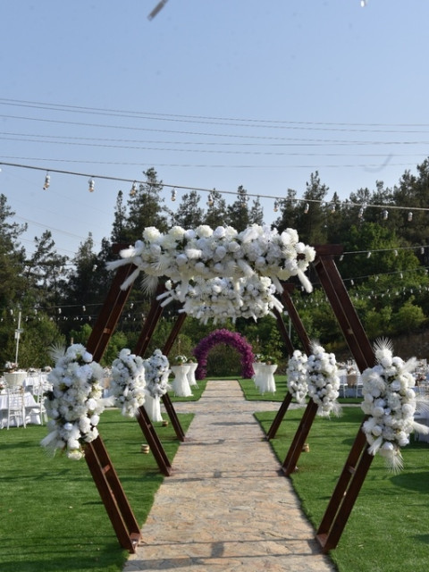 Orman Kır