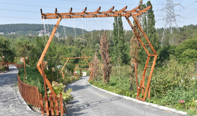 Orman Kır